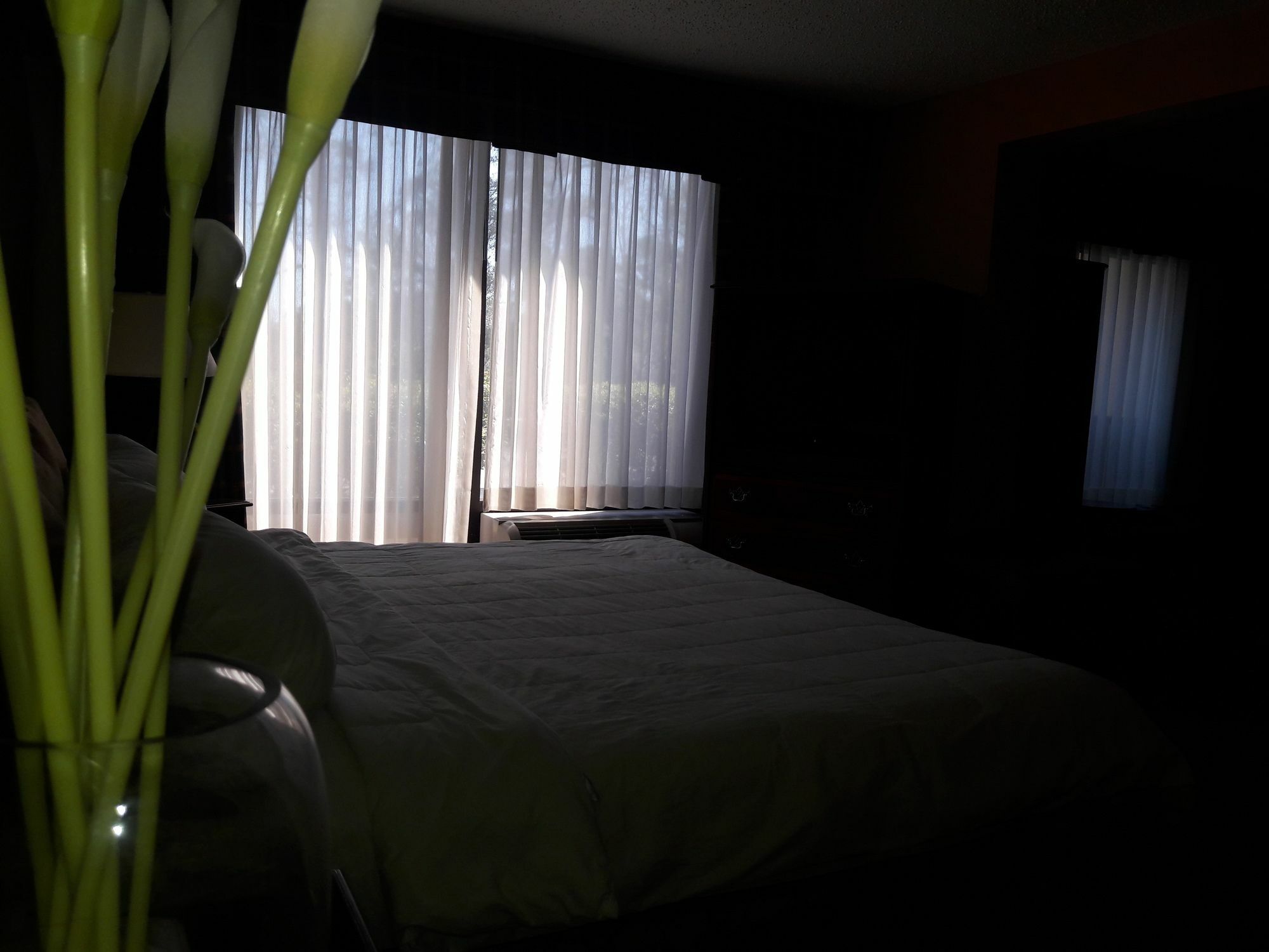 Hotel I-64 Richmond Dumbarton エクステリア 写真